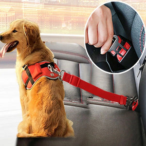 Pawberry SafeRide™ Pet Seat Belt